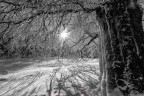 neve in bn neve in bn