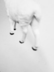 ''' '''