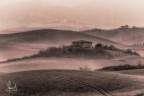 Il buongiorno del pittore Il buongiorno del pittore