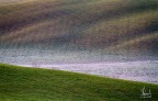 Onde verdi sulla brina Onde verdi sulla brina