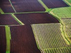 Campagne dall'alto Campagne dall'alto