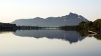 Circeo_Reflex