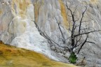 Natura "quasi" morta Natura "quasi" morta