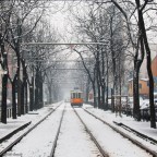 A Milano c'è la neve!!!! A Milano c'è la neve!!!!