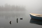 s.t. (fiume Adda) s.t. (fiume Adda)