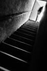 film noir film noir