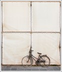 bici cartesiana