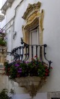 Splendida porta finestra barocca a Martina Franca (TA). 
Peccato che anche per questa non � stato potuto riprenderla meglio perch� si affaccia su una stretta stradina del centro storico