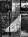 Abandoned... Abandoned...