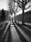 Piazza Banfi , ore 7,20 Piazza Banfi , ore 7,20