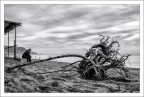 Driftwood 2 Driftwood 2