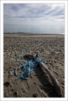 Driftwood 3