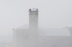 Nebbia