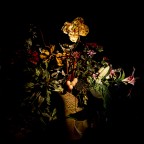 un saluto al forum volevo un giudizio su questa prova di Light painting da voi che siete pi� esperti di me sono le mie prime prove ne ho postato una tanto per avere un'idea grazie mille
canon eos 6 D
posa B
f 11
T 33,0 sec.