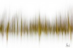 equalizer equalizer