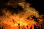 l'incendio l'incendio