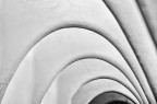 Curvilinee Curvilinee