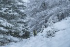 Snowstorn Snowstorn
