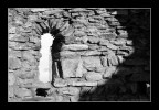 Graines #1 Graines #1