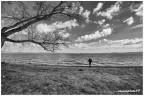 L'uomo del lago L'uomo del lago