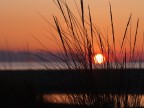tramonto di maremma tramonto di maremma