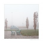 Una Panda nella nebbia