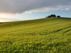 al tramonto nel conero al tramonto nel conero