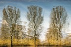 riflessi riflessi