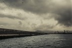 Porto napoli x Porto napoli x