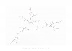 Minimal Minimal