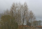 Primavera o Inverno Primavera o Inverno