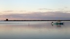 Marcedd�