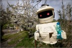 primavera primavera
