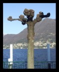 ..l'intruso ..l'intruso