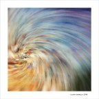 Canon 6D
1/640 f8
Iso 100