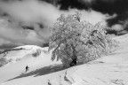 ST_DSC3053 ST_DSC3053