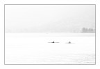 canoe