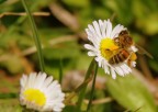 aria di primavera aria di primavera
