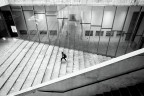 Università Bocconi Università Bocconi