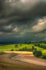 Contrasti di primavera Contrasti di primavera