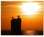 Tramonto a Lazise Tramonto a Lazise