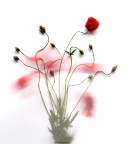 disegnare con un colpo di vento..