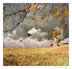 le quattro stagioni...