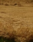 paesaggio desertico paesaggio desertico