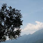 Estate Estate