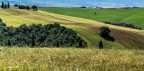 Colline Toscane val d'orcia Colline Toscane val d'orcia