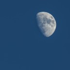 moon in blue moon in blue