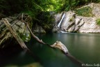 I due rami del parco Breggia I due rami del parco Breggia