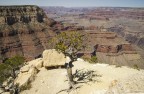 Gran Canyon Gran Canyon