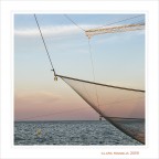 Il gioco dei...contrappesi Il gioco dei...contrappesi